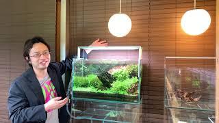 A must-see for beginners! The proper way to set up an aquarium and three things you shouldn’t do