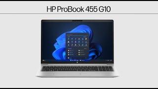 HP ProBook 455 G10 Notebook-PC