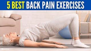 5 Best Back Pain Exercises (for Quick and Long Lasting Relief)