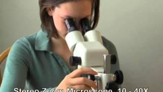 Learning about Stereo Microscopes