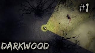 Darkwood #1 - A Strange, Cursed Land