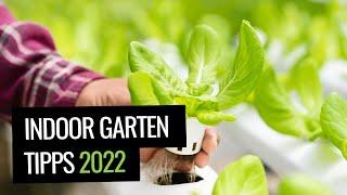 Indoor Garten mit Smart Gardening - 5 einfache Tipps für deinen Garten zuhause (2022)