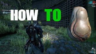 HOW TO Get KUBROW Eggs in Warframe!