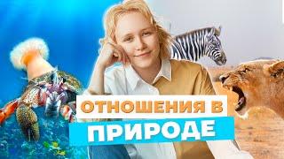 Симбиоз или паразитизм - все о взаимоотношениях в природе | Биология ОГЭ 2023 | Умскул