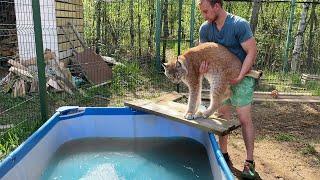 LYNX UMKA TESTED THE POOL FOR STRENGTH / Martin has become kinder