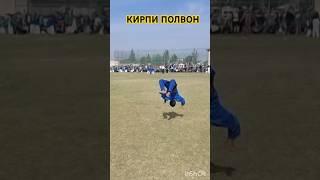 КИРПИ ПОЛВОН МУЗРАБОТДА #рекомендация