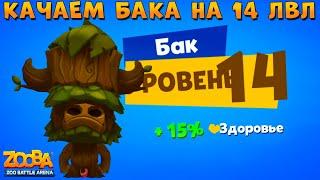 КАЧАЕМ БЫКА БАКА НА 14 ЛВЛ В ИГРЕ Zooba: Битва животных