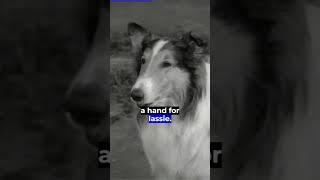 Lassie, classic dog tv