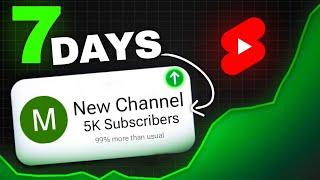 5,000 Subscribers in 7 Days is it possible? (Crazy Result )