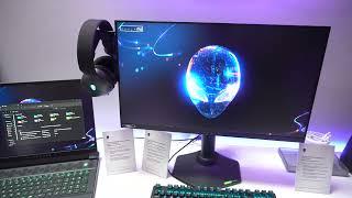 Gaming-Monitor mit 500 Hz - Alienware AW2524H