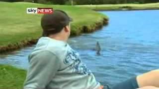 Golfers Brave Shark-Infested Course!