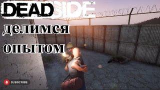 Deadside полезное