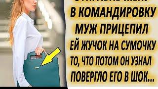 Отправив жену в командировку, муж прицепил ей жучок на сумочку  То, что потом узнал муж, порази