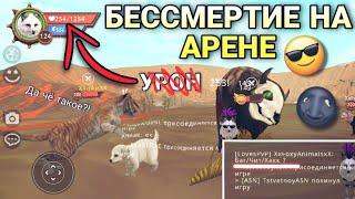 КАК СТАТЬ БЕССМЕРТНЫМ НА АРЕНЕ В WILDCRAFT  [БАГ]