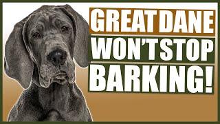 How To Stop Your GREAT DANE Barking