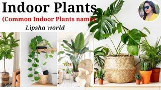 Common Indoor & Air Purifier Plants with Names || Lipsha world