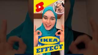 Meryem Derni حيلة تسويقية  مريم درني IKEA Effect