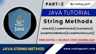 String Methods in Java | charAt()  codePointAt()  codePointBefore() codePointCount() | learn Java