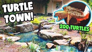 *200 TURTLES* in 1 AWESOME Turtle Haven!