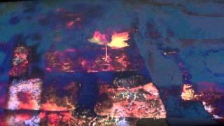 AUTUMN LEAVES COVER CELIA