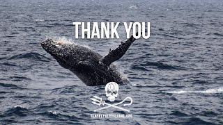 Thank You from Sea Shepherd Global