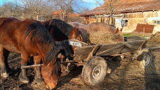 НАШЕ ЗАГАЛЬНЕ ГОСПОДАРСВОЧИМ МИ ЗАЙМАЄМОСЯТА РОЗВИВАЄМО