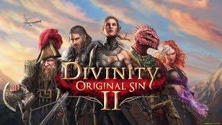 Divinity Original Sin 2 черный кот в форте Радости