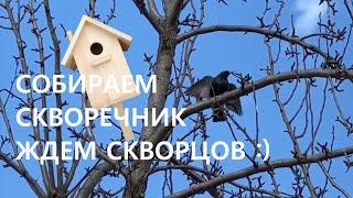 Как собрать скворечник? Скворцы прилетели! :)