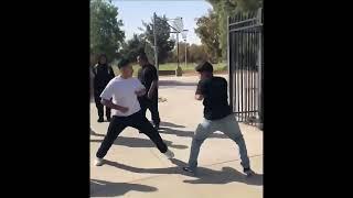 BEST FIGHTS COMPILATION | 2024