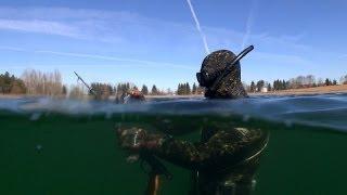 Задержка Дыхания в Подводной Охоте. Spearfishing. Pesca in apnea