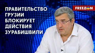 Без вмешательства Запада Грузия не сможет победить влияние пророссийских сил, – Васадзе