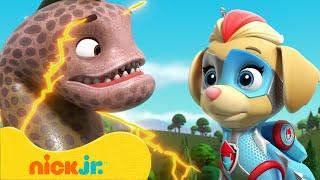 PAW Patrol | Mighty Pups vs. Riesentiere! | Nick Jr. Deutschland