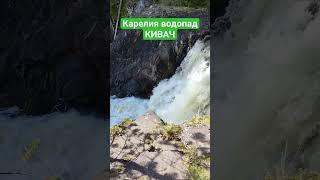 Карелия водопад КИВАЧ#водопады #карелия #путешествия #природа_россии