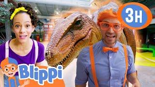 Dinosaur and Zoo Fun +More | Blippi and Meekah Best Friend Adventures | Educational Videos for Kids