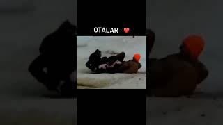 6-mart, 2025