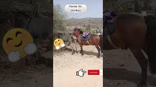 Horse Vs donkey love #tiktoklovely