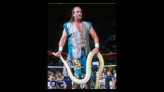 Jake the Snake Roberts WWF Edit