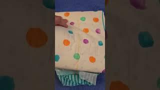 PAMPERS VS REARZ CRITTER CABOOSE: Which diaper is more beautiful and of higher quality?