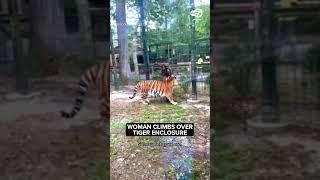 She was nearly bitten by the tiger