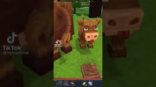 Throwing Shits at People's Faces In Hytale 2021 | #Hytale 2021 | #Shorts