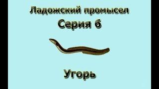 Русская Рыбалка 3.99 (Russian Fishing) Ладожский промысел 6 - Угорь