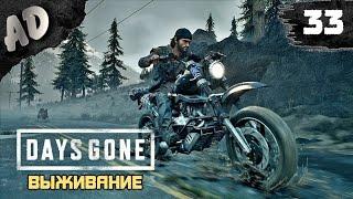 СГОРЕЛА ЖОПА! Прохождение Days Gone Жизнь После на Русском #33