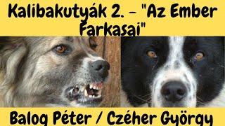 Az "Ember Farkasai" - Kalibakutyák 2. Czéher György / Balog Péter! DogCast TV