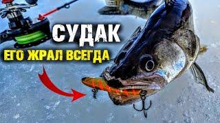 Этот раттлин был лучшим! Практик 8, судак, закрытие сезона