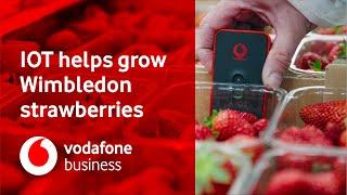 From Crop to Centre Court with Vodafone IoT Technology