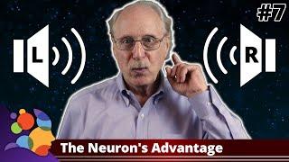 The Neuron's Advantage - Machine Learning Is Not Like Your Brain #7