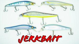 Buyer's Guide: Best Jerkbaits For Bass Fishing