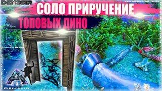 ARK SURVIVAL EVOLVED | СОЛО ПРИРУЧЕНИЕ ТОПОВЫХ ДИНО В АРК | арк сурвайвал эволв