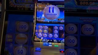 Maxed out major jackpot hit on Lightning Link betting $2.50 @ Choctaw Casino #slot machine #vegas