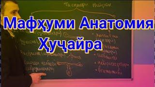 Биология синфи 9.| Дарси 01.| Анатомия ва физиологияи Ҳуҷайра